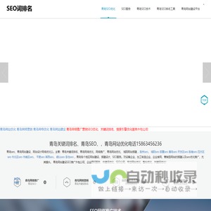 网站截图