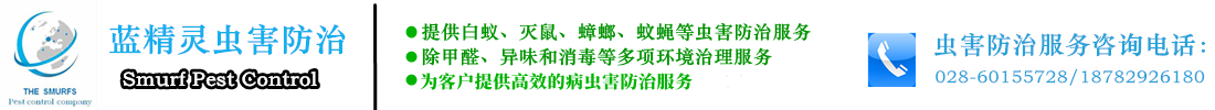首页--成都灭鼠公司哪家好、成都灭白蚁公司 成都蓝精灵有害生物防治有限公司